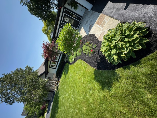 Neighbourhood lawn care