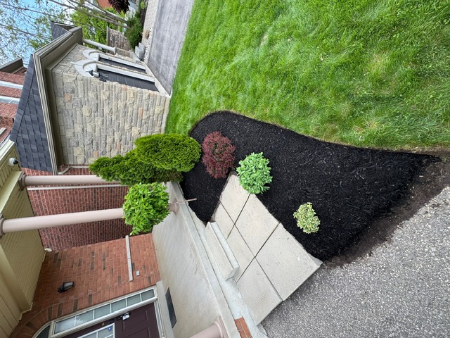 Front yard lawn care